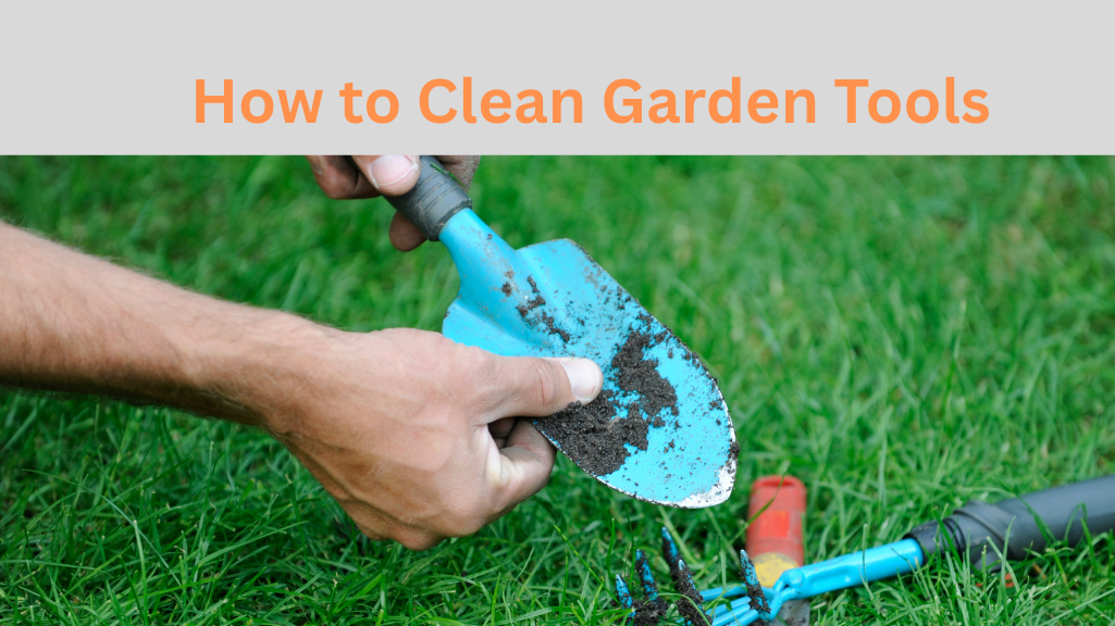 Step by step guide to clean and maintain garden tools