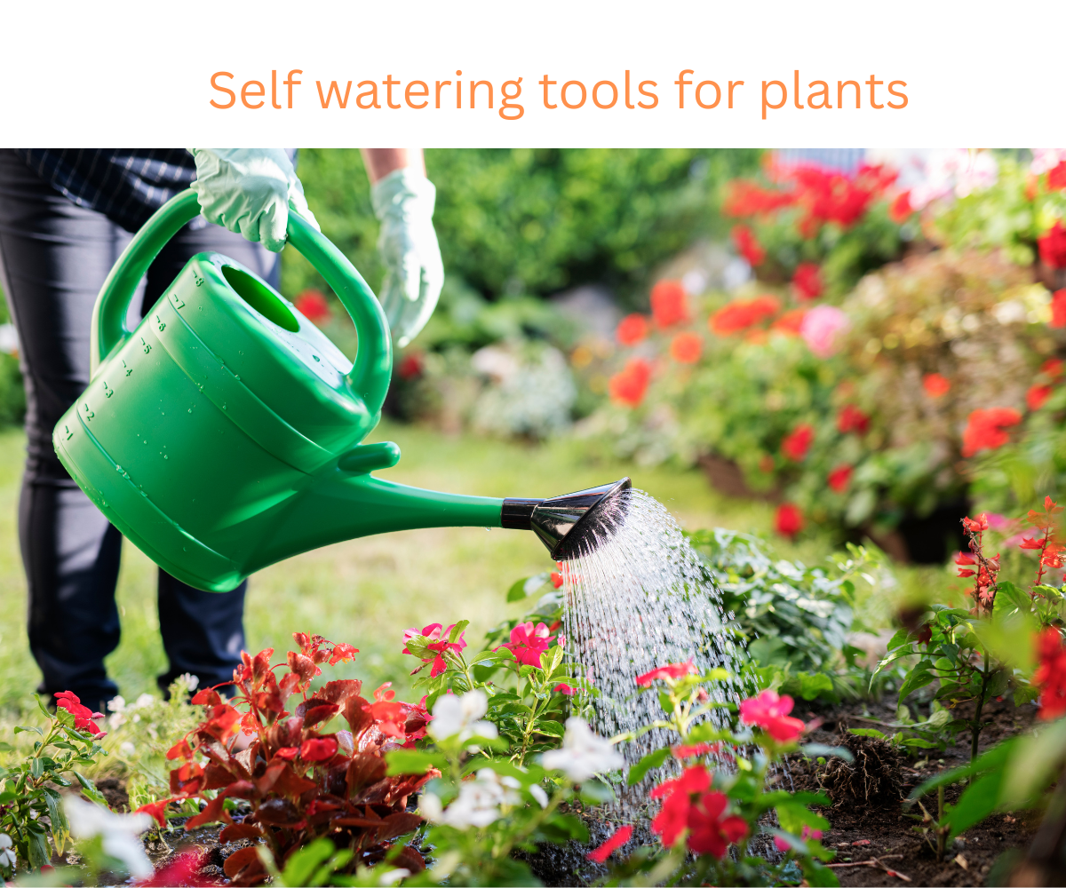 Self watering tools for plants-keep your plants healthy with less effort