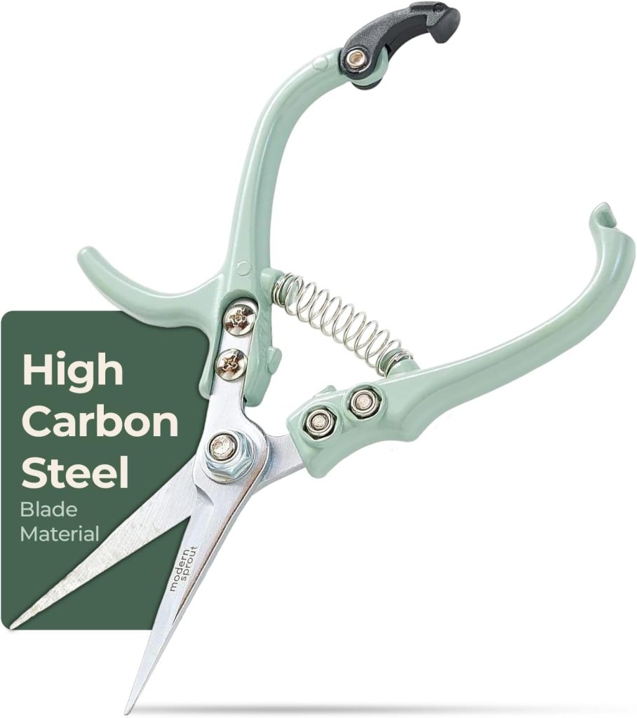 "Modern Sprout Pruning Shears for Garden Plants"