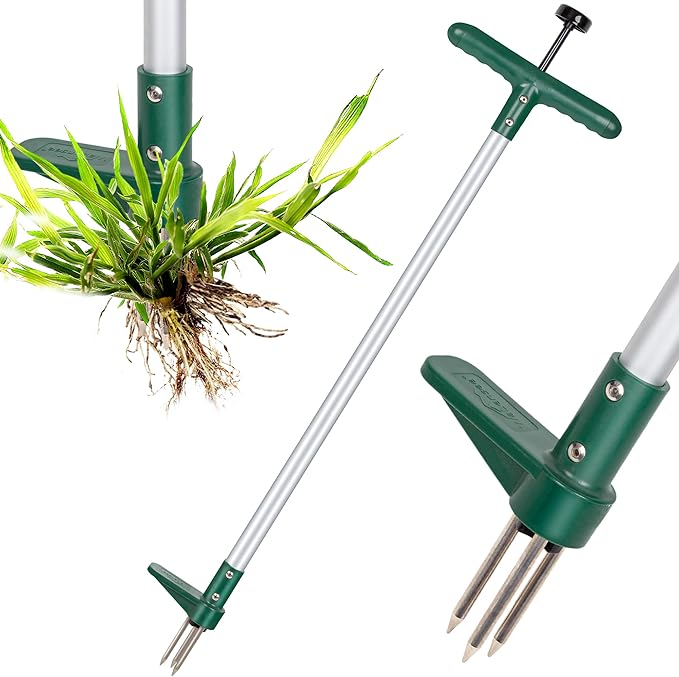 "Best tools for weeding garden-top gardening wedding tools collection"