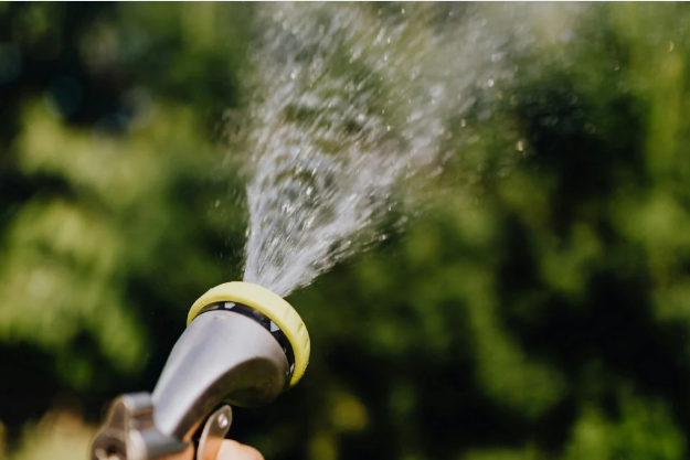  Use a deep root tree watering tool