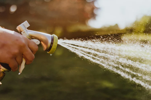 Using a deep root tree watering tool to deliver water directly to tree roots